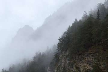 Fog cover the forest in the mountains. Misty landscape view in a valley in Switzerland.