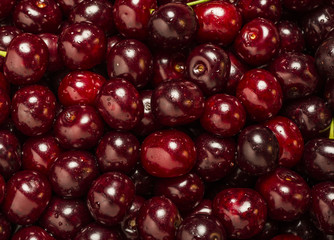 Freshly red cherry berries with water droplets. Healthy food background