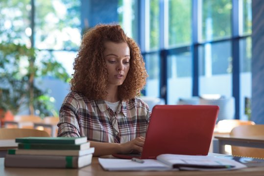 Teenage Girl Using Laptop At Desk