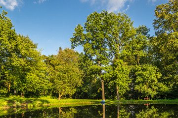 Staw oświetlony słońcem © Senatorek