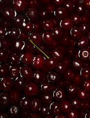 Ripe fresh rich cherries in water. Fruit background.