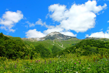 mountains view