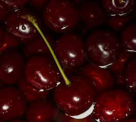 Ripe fresh rich cherries in water. Fruit background.