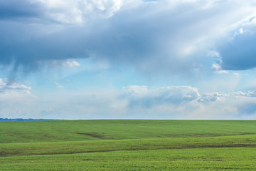green field with fresh vibrant grass and blue sky with dramatic clouds at the daytime