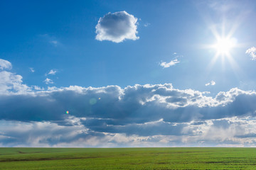 Fototapeta premium green field with fresh vibrant grass and blue sky with dramatic clouds and the sun at the daytime