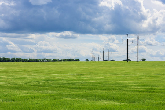 Green field of young wheat, forest, towers of high voltage electrical wires into the distance and the cloudy dramatic sky