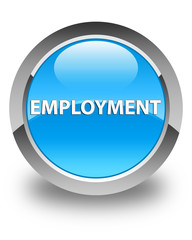 Employment glossy cyan blue round button