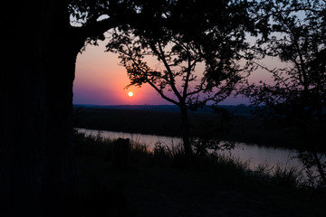 Colorful sunset in the african bush. Acacia trees silhouette in backlight. Cold toned, blue purple clear sky.