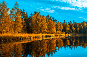 autunm landscape, perfect fall scenery