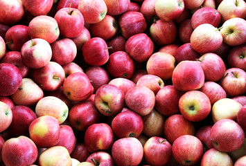 many red apples for sale