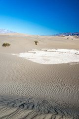 Beautiful Sand Dunes