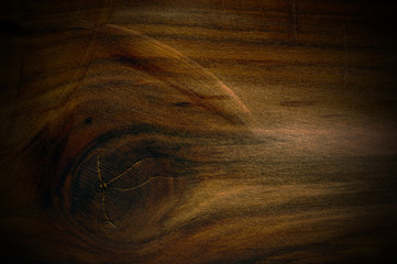 Natural knotted cherry wood texture