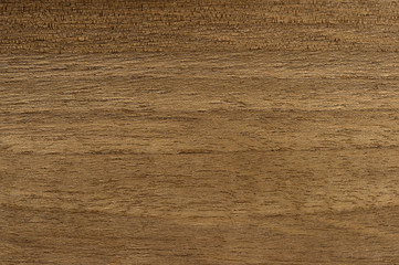 Obraz premium Natural almond wood texture