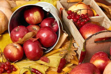 Fototapeta na wymiar Autumn background from yellow leaves, apples, pumpkin. Fall season, eco food and harvest concept