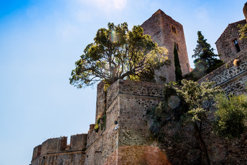 Le Château Royal de Collioure