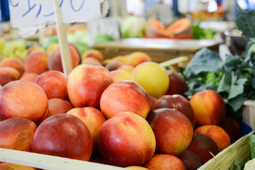 a group of nectarines
