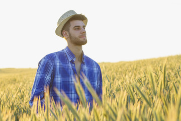 Naklejka na ściany i meble Guy with hat at the middle of the wheat field