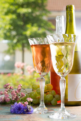 Cold summer wines, white and rose, served in beautiful glasses on the fresh air, outdoor in the green garden with flowers, sunny day