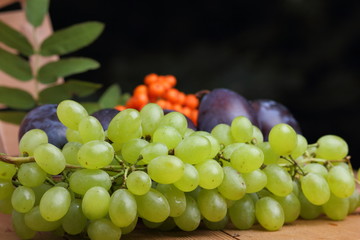 Green grapes, plums and mountain ash in a wooden basket