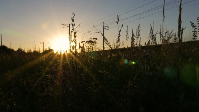 The train moves through beautiful sunlight.