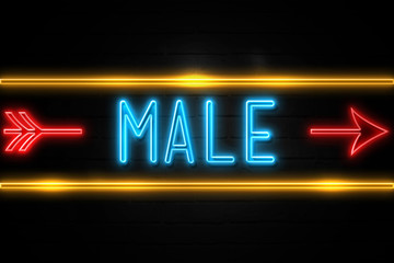 Male  - fluorescent Neon Sign on brickwall Front view