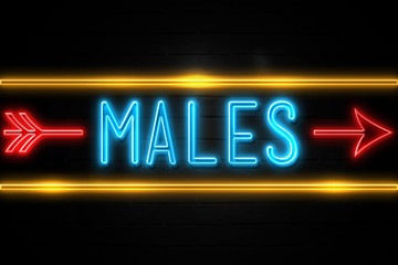 Males  - fluorescent Neon Sign on brickwall Front view