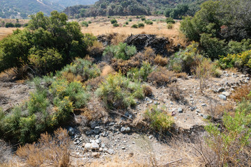 Fototapeta na wymiar Dry Southern California creek bed in summer
