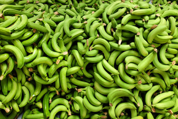 fresh picked green bananas pile in the farm