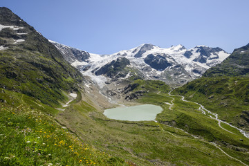 Steingletscher