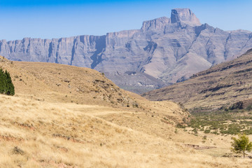 Fototapeta na wymiar Northern Drakensburg