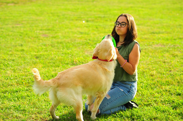 Pretty brunette woman playing with a dog white golden retriever on the grass in park. Woman with her dog on green meadow, puppy training