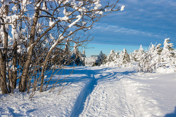 Winter im Erzgebirge