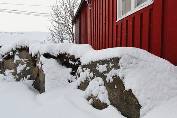 Red cottages-rorbu under heavy snowfall in Hamnoy village. Reine-Moskenesoya-Nordland-Norway. 0380