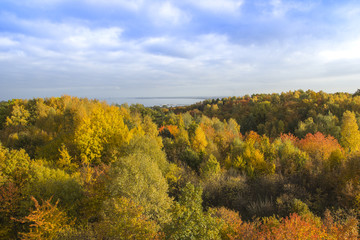 Beautiful aerial view of fall foliage In Poland
