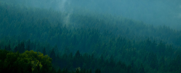 Photo depicting beautiful a foggy mystic mountains. Fog clouds at the pine tree mystical woods, morning. Europe, mysterious alps landscape.