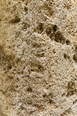 Carved limestone - tufa; background, texture.