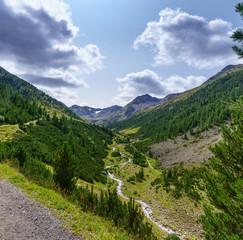 Fototapeta na wymiar Alpine green valley