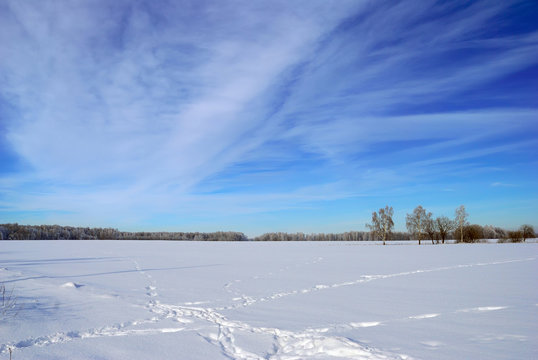 The snow-covered field with chains of traces in a good winter day.