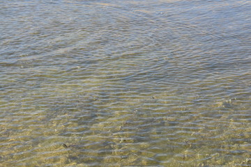 Mud Underneath Clear Water