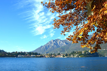 Fototapeta premium Autumn colorful foliage in red and yellow color over lake with beautiful mountain landscape on Lake Como, Italy