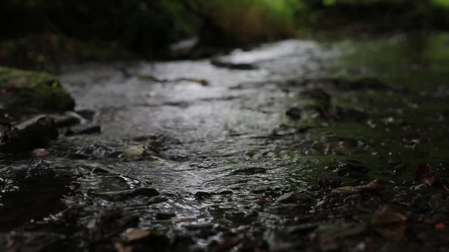 Small river flow in peace with stereo sound