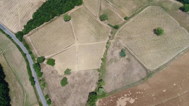 Vista aerea della campagna di Siena in Val d'Orcia in Toscana. Varie sfumature di verde.