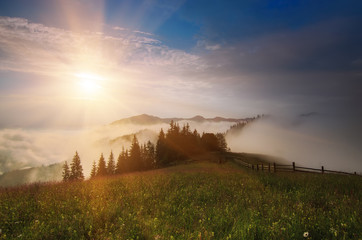 Naklejka na ściany i meble Foggy morning shiny summer landscape with mist, green meadow and sun shining
