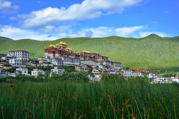 Obraz premium Ganden Songzanlin Buddhist Monastery. Shangri-La County, Yunnan province, China.