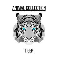 Geometric vector animal blue eyes tiger head background