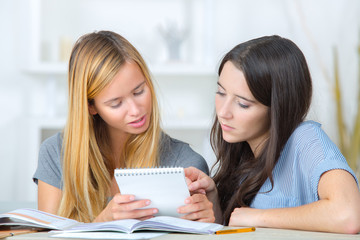 portrait of two young female students studying at home