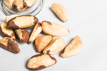 Close up macro photo of a brazil nut against white background
