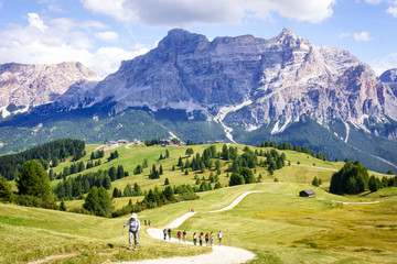 Fototapeta na wymiar Hiking in alpine fields surround by the Italian Alps