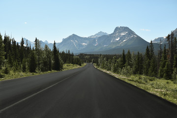Fototapeta premium Canadian Rockies