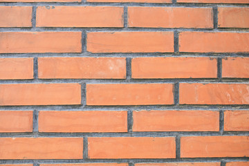 Obraz premium Real stone wall texture photography